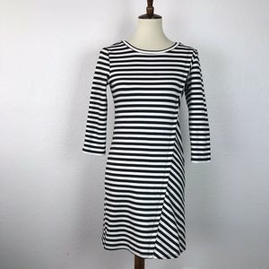 Cupcakes and Cashmere Knit Stretch Bodycon Dress